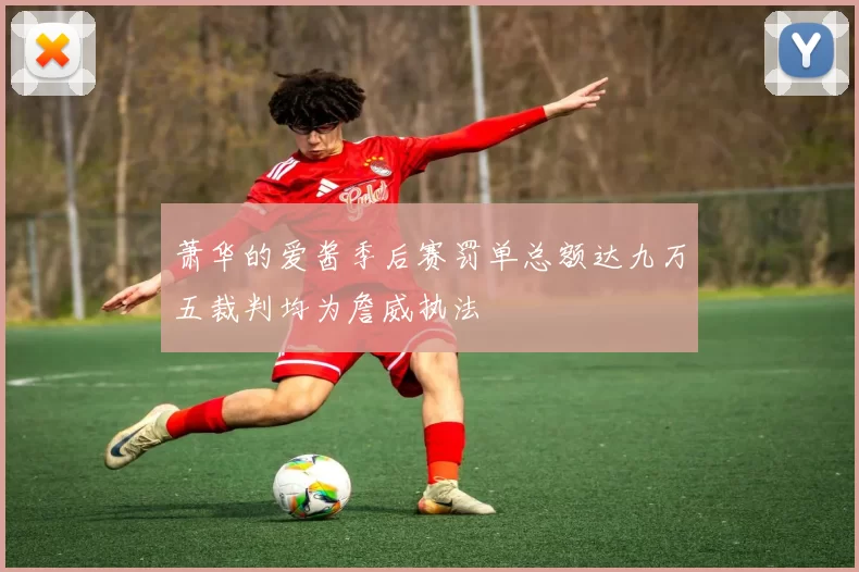 萧华的爱酱季后赛罚单总额达九万五裁判均为詹威执法