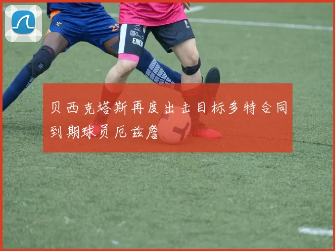 贝西克塔斯再度出击目标多特合同到期球员厄兹詹
