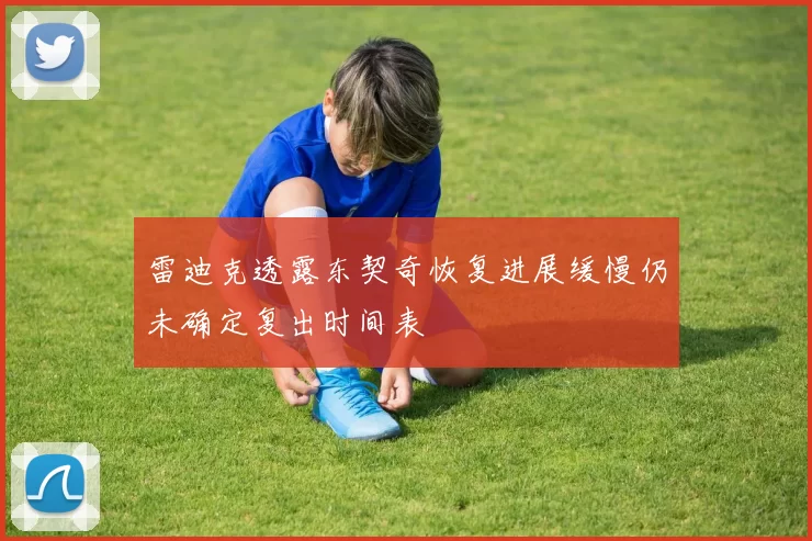 雷迪克透露东契奇恢复进展缓慢仍未确定复出时间表
